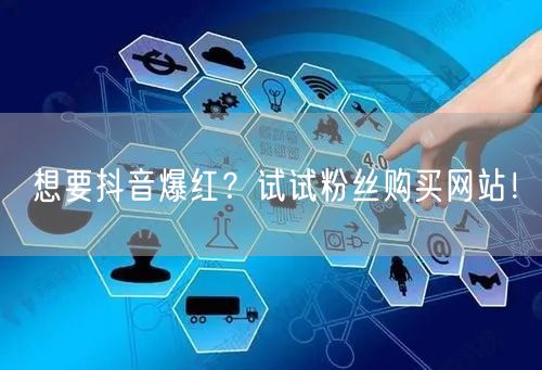 想要抖音爆红？试试粉丝购买网站！