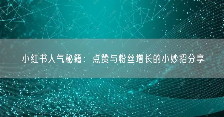 小红书人气秘籍：点赞与粉丝增长的小妙招分享