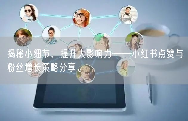 揭秘小细节，提升大影响力——小红书点赞与粉丝增长策略分享。
