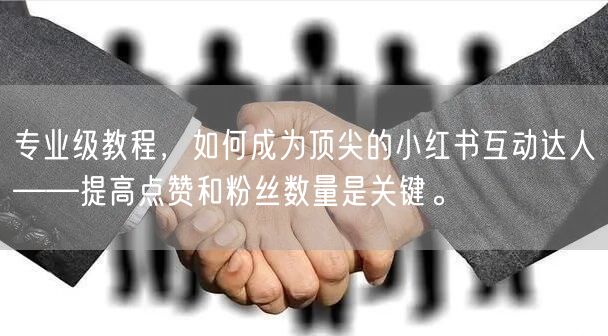 专业级教程，如何成为顶尖的小红书互动达人——提高点赞和粉丝数量是关键。