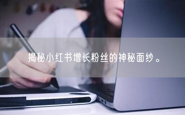 揭秘小红书增长粉丝的神秘面纱。