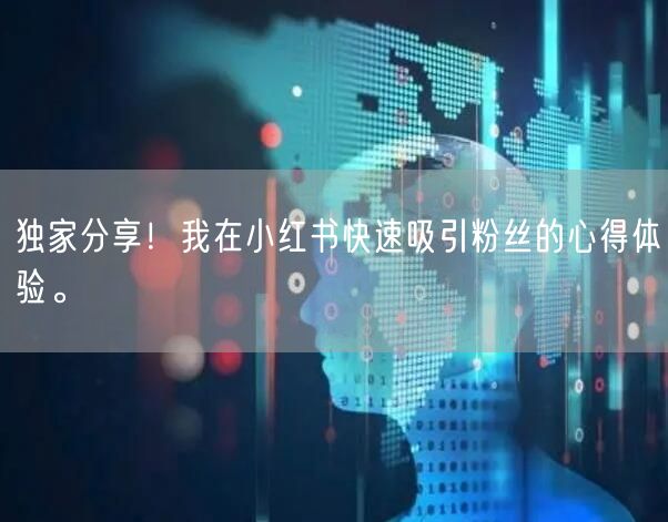 独家分享！我在小红书快速吸引粉丝的心得体验。