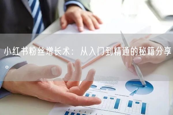 小红书粉丝增长术：从入门到精通的秘籍分享。