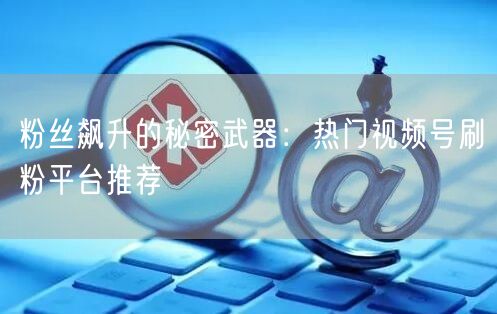 粉丝飙升的秘密武器：热门视频号刷粉平台推荐