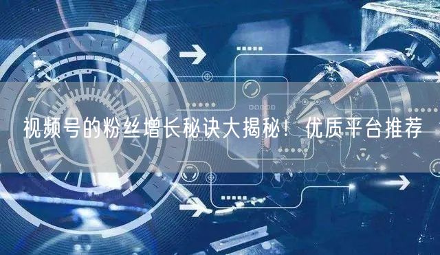 视频号的粉丝增长秘诀大揭秘！优质平台推荐