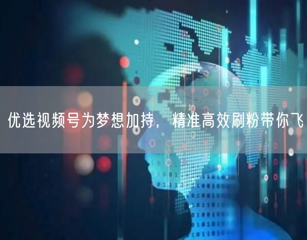 优选视频号为梦想加持，精准高效刷粉带你飞
