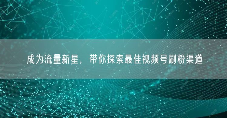 成为流量新星，带你探索最佳视频号刷粉渠道